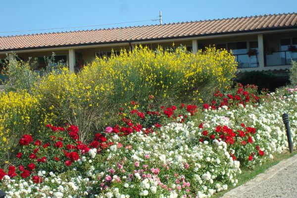 Aquaviva Hotel & Spa (Casole d'Elsa)